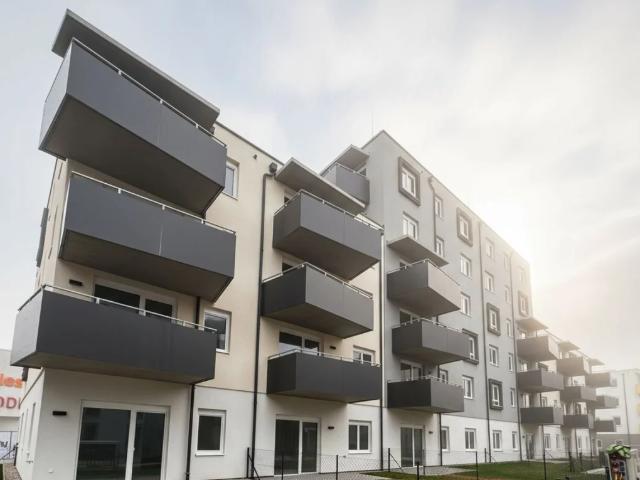 ERSTBEZUG „ein viertel grün“ in Wiener Neustadt moderne 2