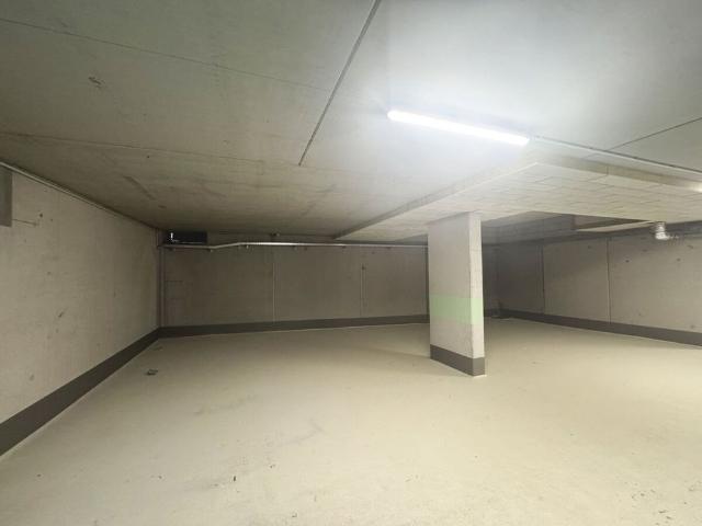 ERSTBEZUG „ein viertel grün“ in Wiener Neustadt Pärchentraum inkl. Balkon