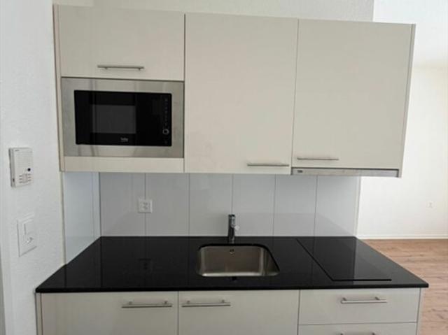 Erstbezug frisch sanierte 1 Zimmer Wohnung jetzt zu vermieten!
