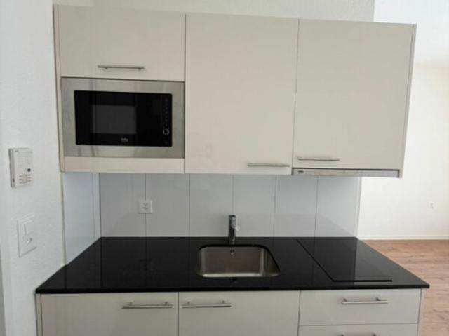 Erstbezug frisch sanierte 1 Zimmer Wohnung jetzt zu vermieten!