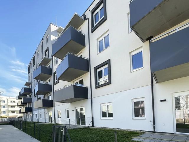 ERSTBEZUG im „ein viertel grün“ in Wiener Neustadt –