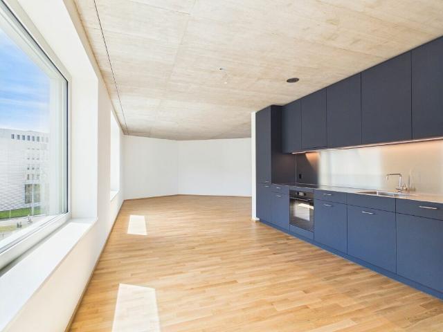 Erstbezug im modernen Neubau hochwertiges Wohnen mitten in Basel
