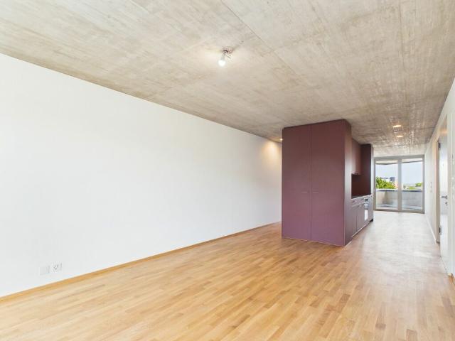 Erstbezug im modernen Neubau hochwertiges Wohnen mitten in Basel
