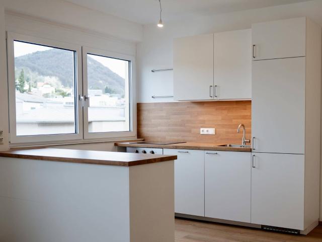 Erstbezug nach Komplettsanierung | 2 Zimmer mit offenem Wohnkonzept & Pöstlingberg Blick