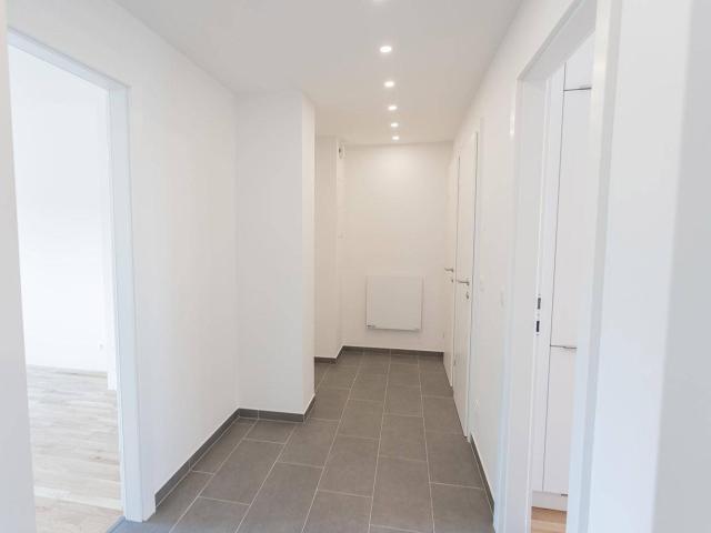 Erstbezug nach Komplettsanierung 3 Zimmer Eigentumswohnung in toller Lage in 1230 Wien! Provisionsfrei!