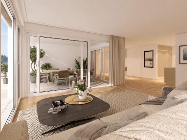 Erstbezug: Neue 4½ Zimmer Terrassenwohnung zu verkaufen