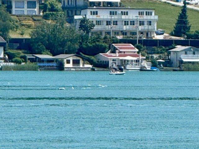 ERSTBEZUG: TRAUMHAFTE EIGENTUMSWOHNUNGEN IN PÖRTSCHACH AM WÖRTHER SEE