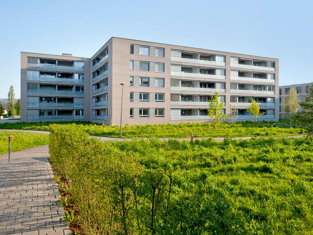 Erste eigene Wohnung