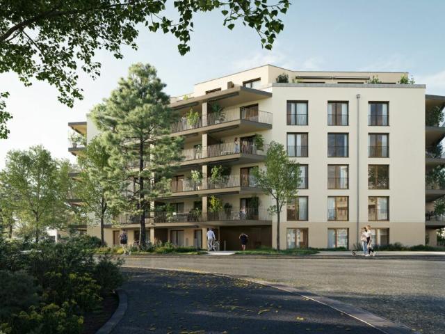 Erstvermietung 2.5 Zimmer Wohnung Altwiesenstrasse 372