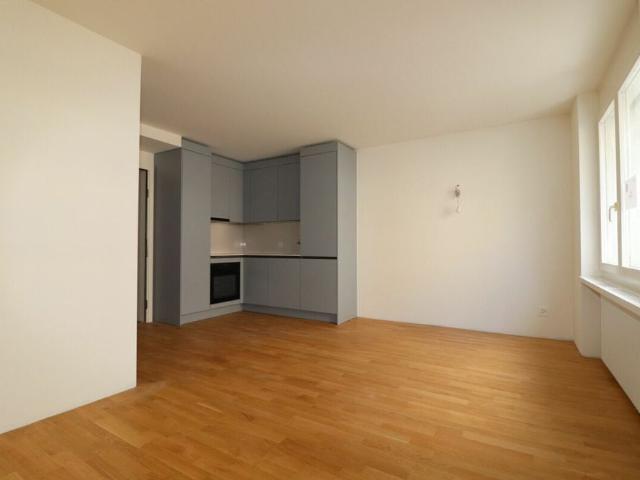 Erstvermietung nach Neuausbau 1 ½ Zimmer Wohnung im Gundeli nähe Bahnhof SBB