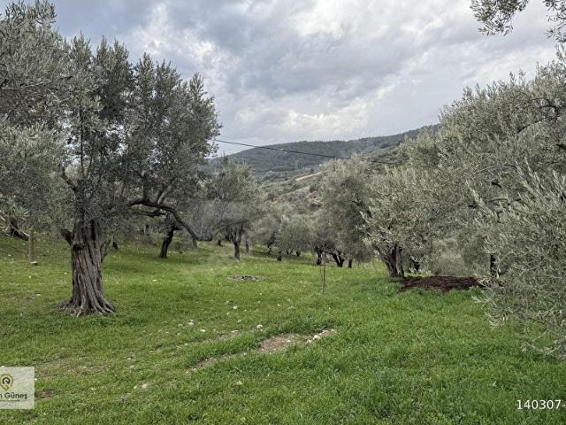 ERTAN GÜNEŞ_TEN BOZKÖYDE YOL ÜZERİ 3670M2 TEK TAPU SATILIK TARLA