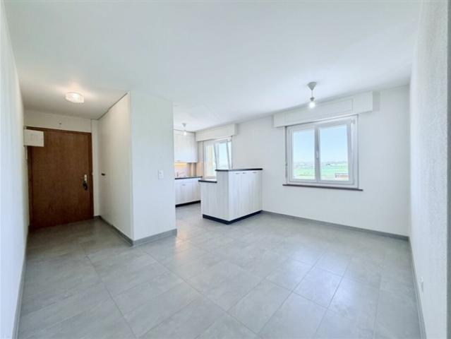 Ertragswohnung 4,5 Stück im Penthouse 110 m²