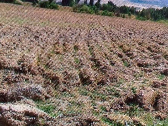 erzincan merkezde satılık arsa