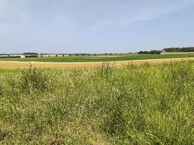 Etaules 17750 Programme neuf terrain neuf à vendre