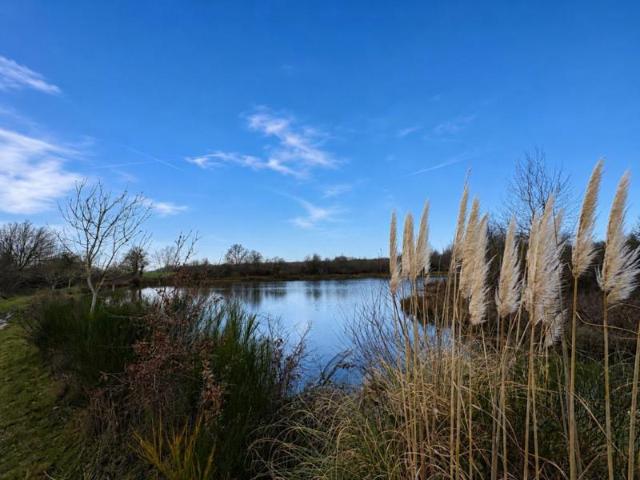 Etang