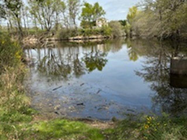 Etang