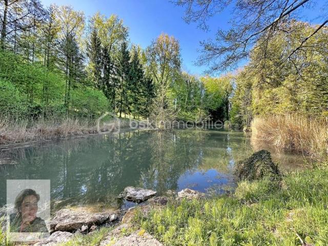 Etang