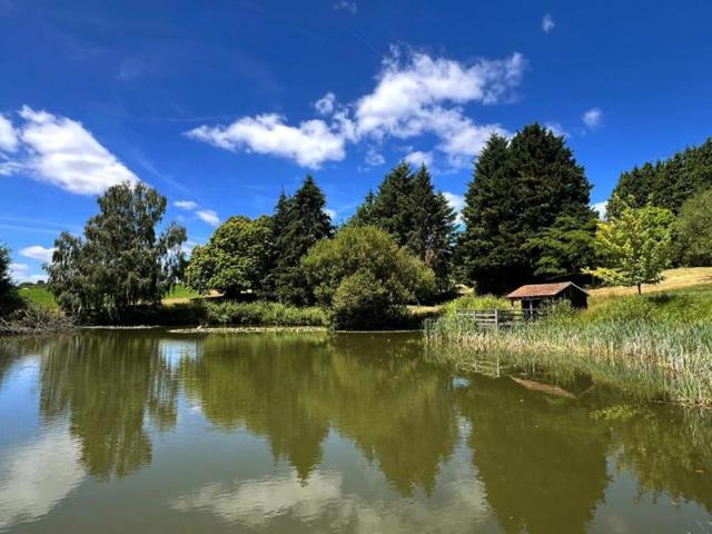 Etang avec chalet 4 pièce s 35 m2