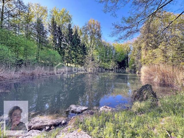 ETANG avec chalet