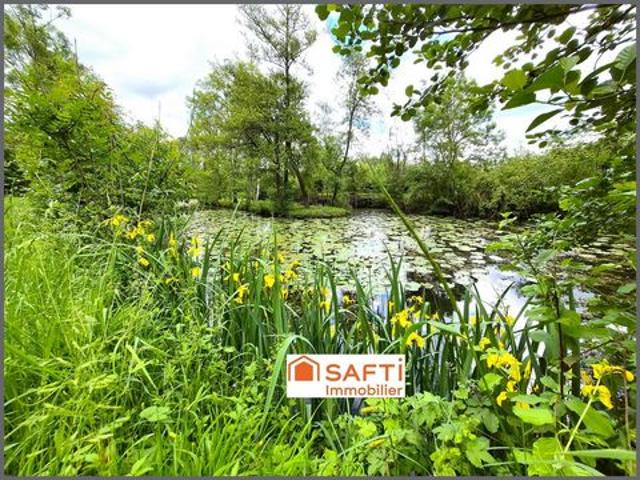 ETANG + CHALET + PEUPLERAIE 8600m²