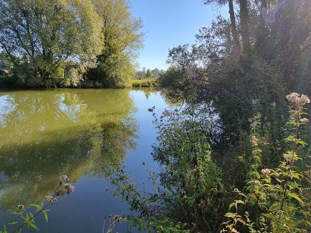 Etang cloturé
