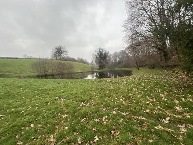 Etang de 4000 m2 sur une parcelle de 5 733 m2 !