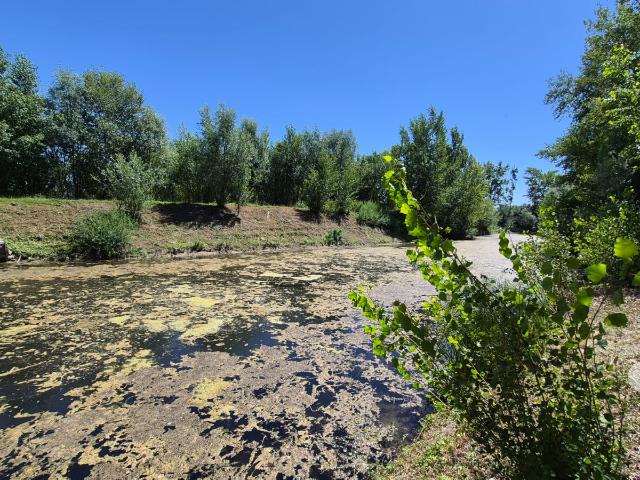 Étang de pêche 4 575 m2 Mareuil sur Aÿ