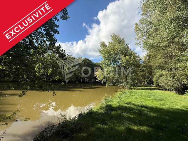 Etang Saint Sauveur En Puisaye