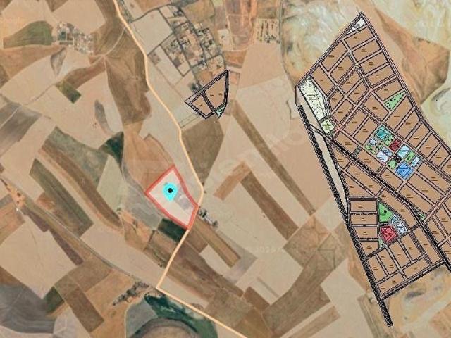ÇETİNLER'DEN HACITUĞRUL'DA YOLA CEPHE 1000M2 YATIRIMLIK TARLA
