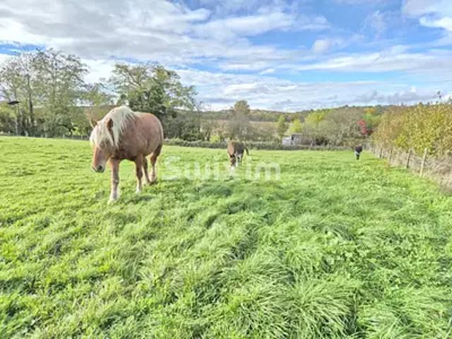 Etrabonne 25170 Achat / Vente terrain