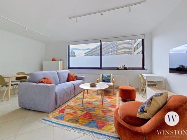 EU/Cinquantenaire 1 Bedroom Furnished Apartment