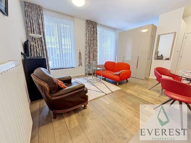 EUROPEAN DISTRICT Beautiful furnished studio