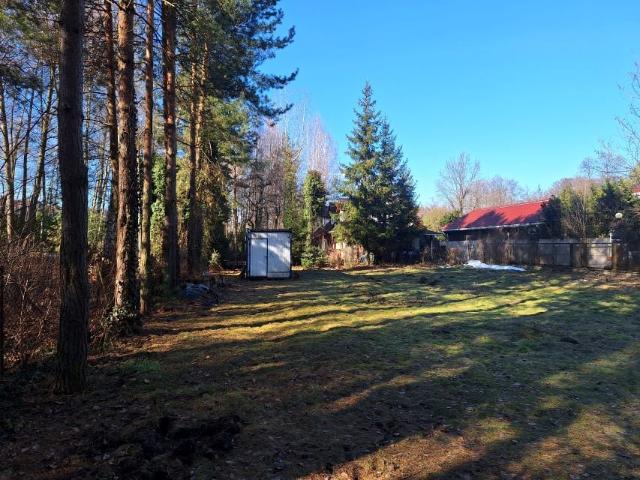 Euzebii 900 m², Stare Załubice