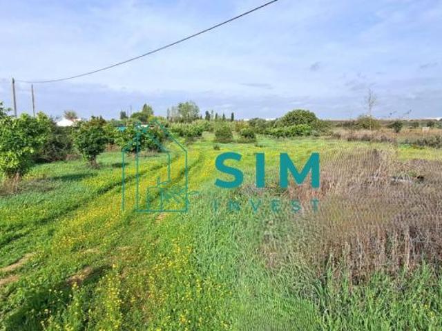 Évora Évora 7005 LS98258520
