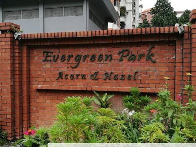 Evergreen Park Acorn and Hazel