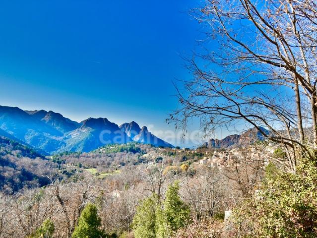 EVISA CORSE A VENDRE: Ensemble immobilier touristique: bâtiment gîte hôtel/restaurant + 6 chalets avec piscine