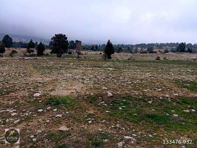 Evsus Gayrimenkul'den Tarsus Keşli 2620m2 Satılık Arsa