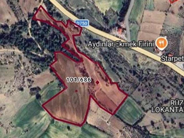 Evsus gayrimenkul'den damlama köyünde 50 dönüm satılık tarla
