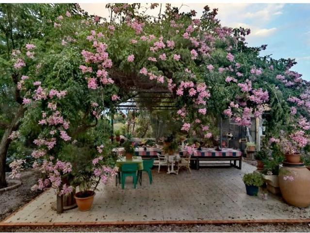 EXCELENTE CHALET A LA VENTA EN CREVILLENTE