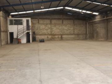 Excelente bodega en renta ideal para al