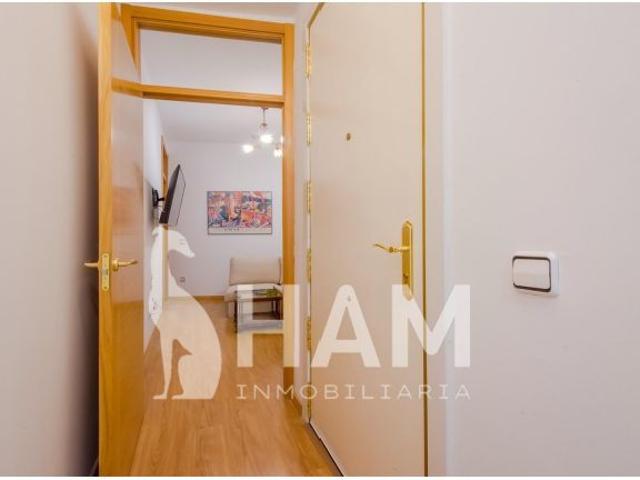 EXCELENTE HABITACION EN IBIZA