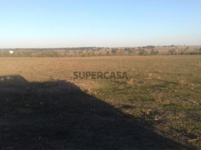 Excelente herdade,1000 Ha, em Évora