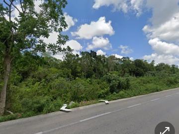 EXCELENTE OPORTUNIDA DE VENTA DE TERRENO EN MACARIO GOMEZ. TULUM