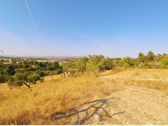 Excelente Oportunidad de Inversión – Terreno Rústico de Más de 20.000 m² en Alhaurín de la Torre
