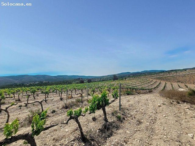 EXCELENTE OPORTUNIDAD!. FINCA AGRICOLA EN ONTINYENT CON GRAN VIVIENDA RENOVADA