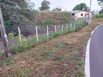 Excelente Oportunidad SE ALQUILA O SE VENDE FINCA EN CAISAN, CHIRIQUI, PANAMÁ