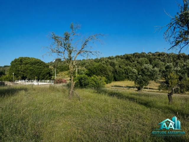 Excelente Oportunidade de Investimento e Construção no Algarve!
