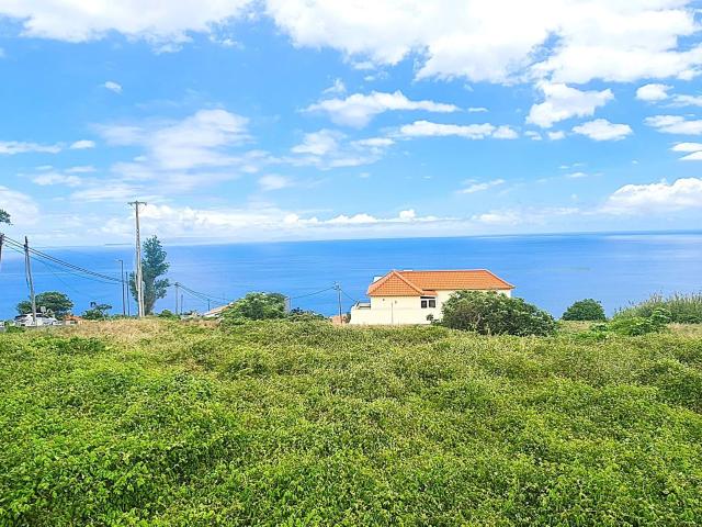 Excelente Oportunidade para construção em Gaula, Santa Cruz