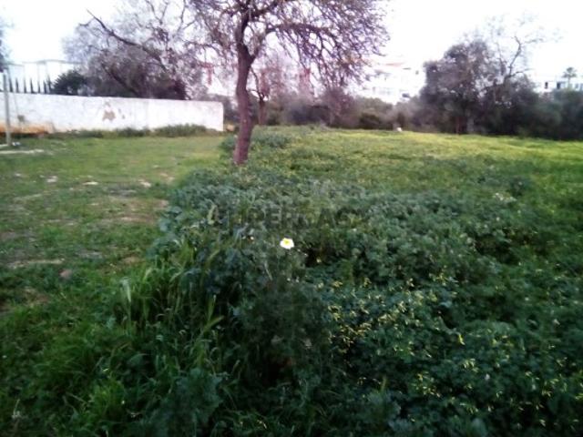 Excelente lote de terreno rústico situado em Almancil com área de 1800m2