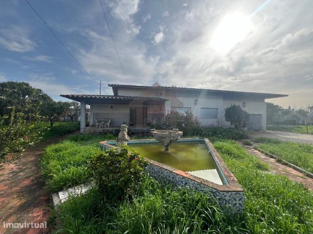 Excelente Moradia Trrea T3 Com Terreno e Vrios Anexos
